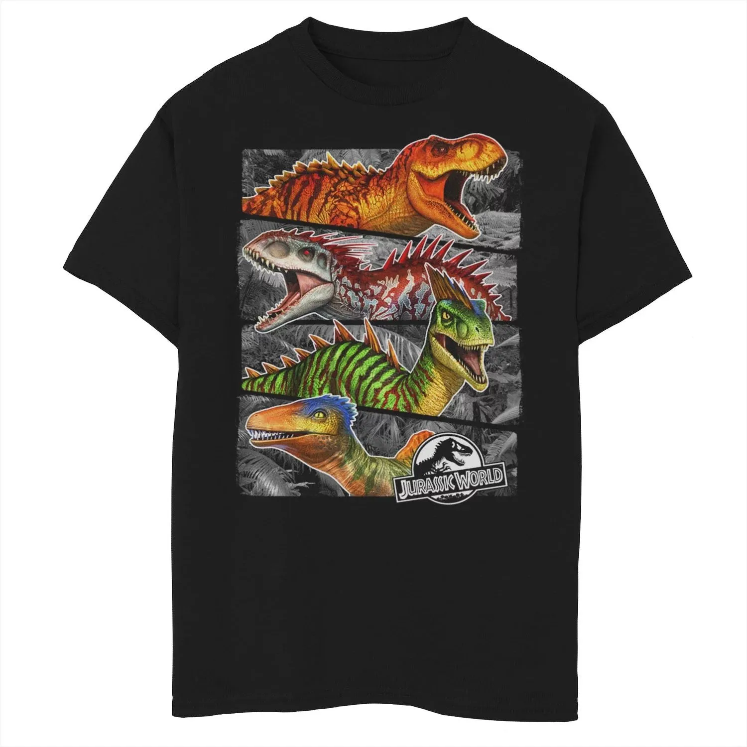 Boys 8-20 Jurassic World Jurassic Park Rude Dudes Graphic T-Shirt