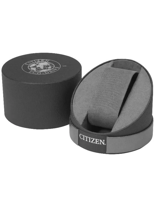 Citizen Chronograph World Time Watch
