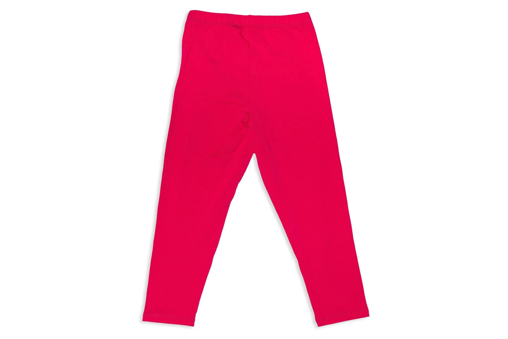 Dogs in Paris Leggings