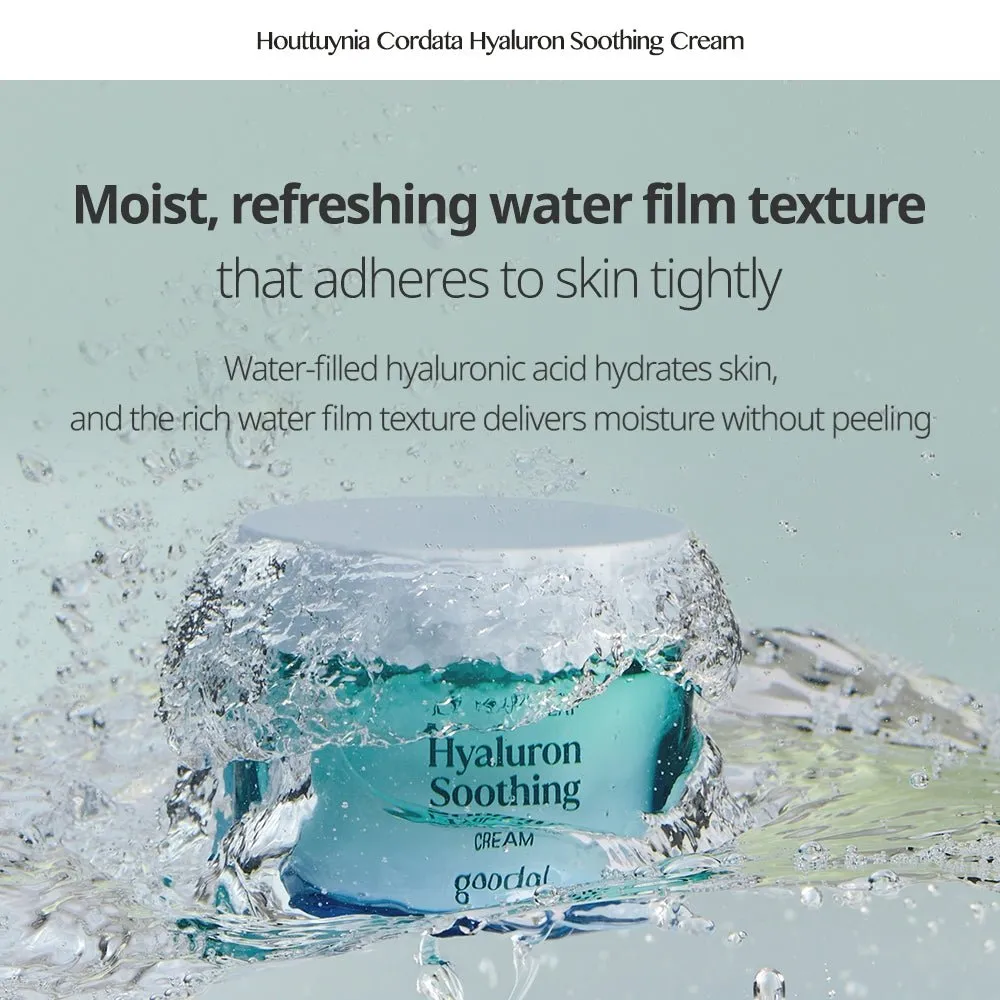 Goodal Ice Heartleaf Hyaluron Soothing Cream 75ml