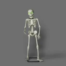 Open Box - Animated Premium Skeleton Halloween Scene Prop - Hyde & EEK! Boutique