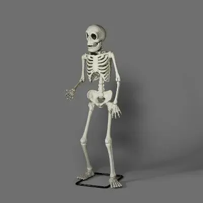 Open Box - Animated Premium Skeleton Halloween Scene Prop - Hyde & EEK! Boutique