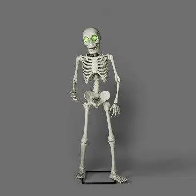 Open Box - Animated Premium Skeleton Halloween Scene Prop - Hyde & EEK! Boutique