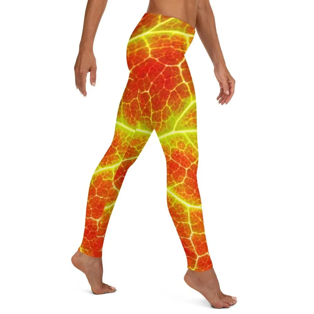 Phoenix Arise ~ Full Guard Leggings