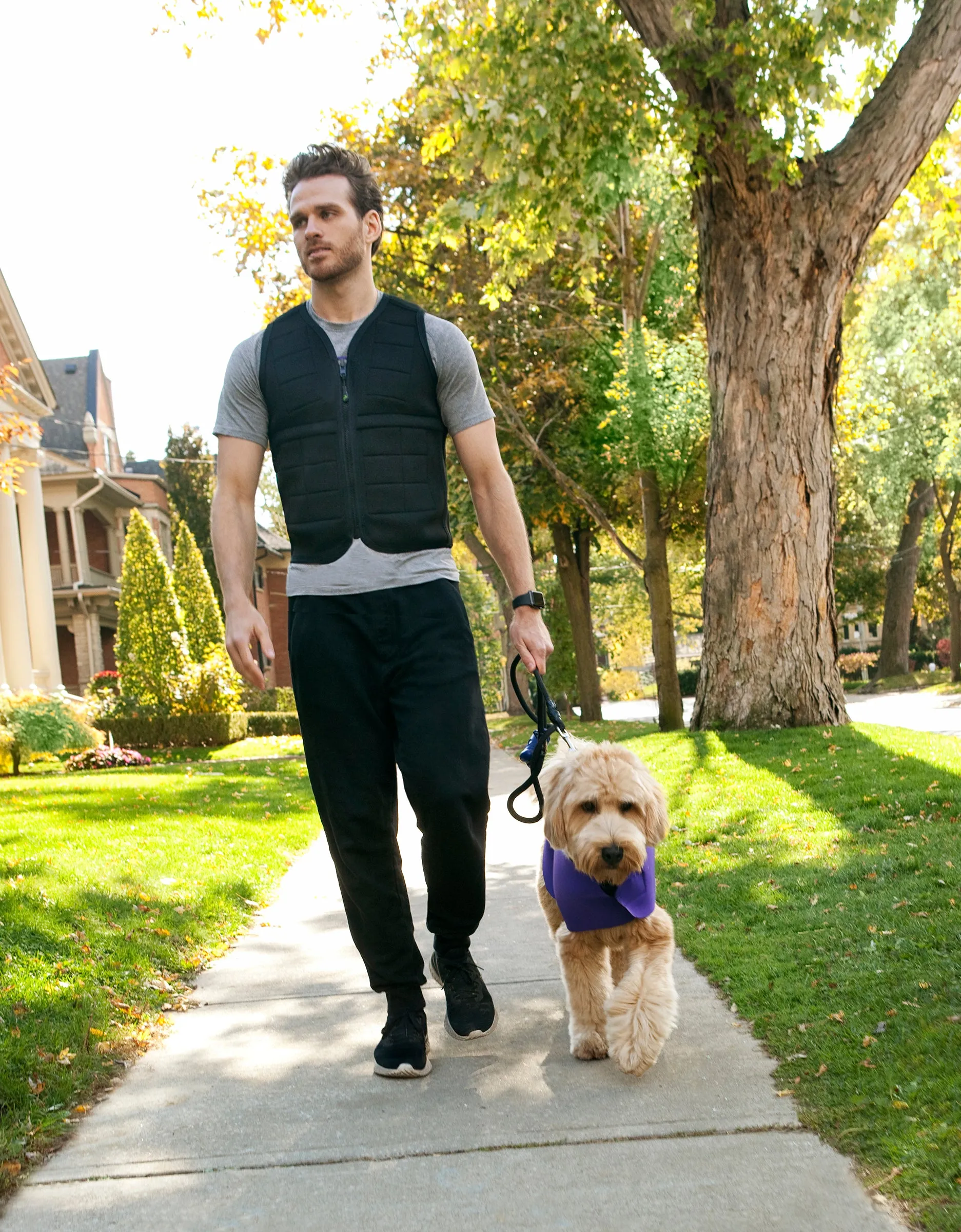 Power Wearhouse Power Weighted Vest , XX-Large (45.5" - 48.5")