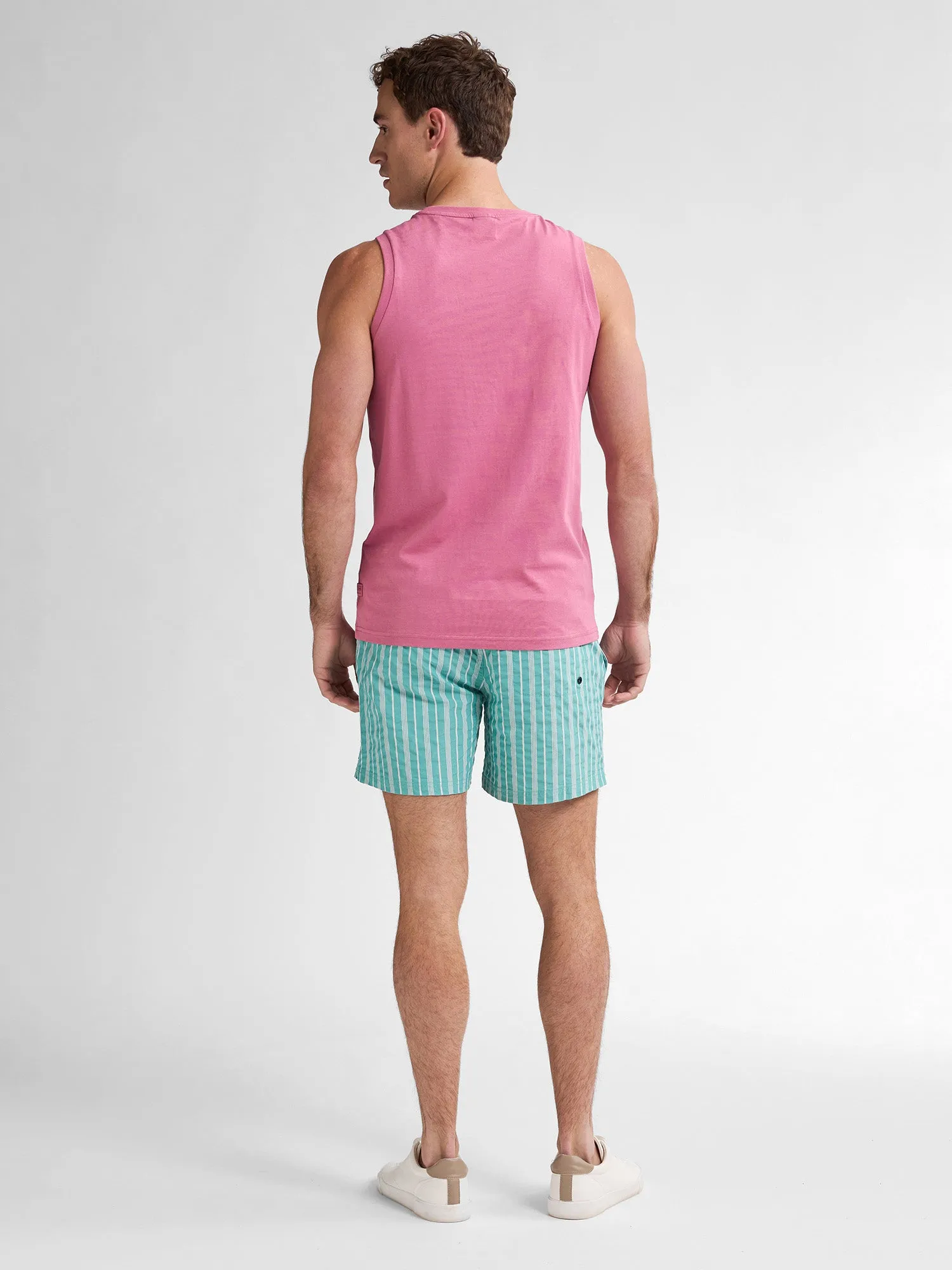 Striped Swimming Shorts Reefway