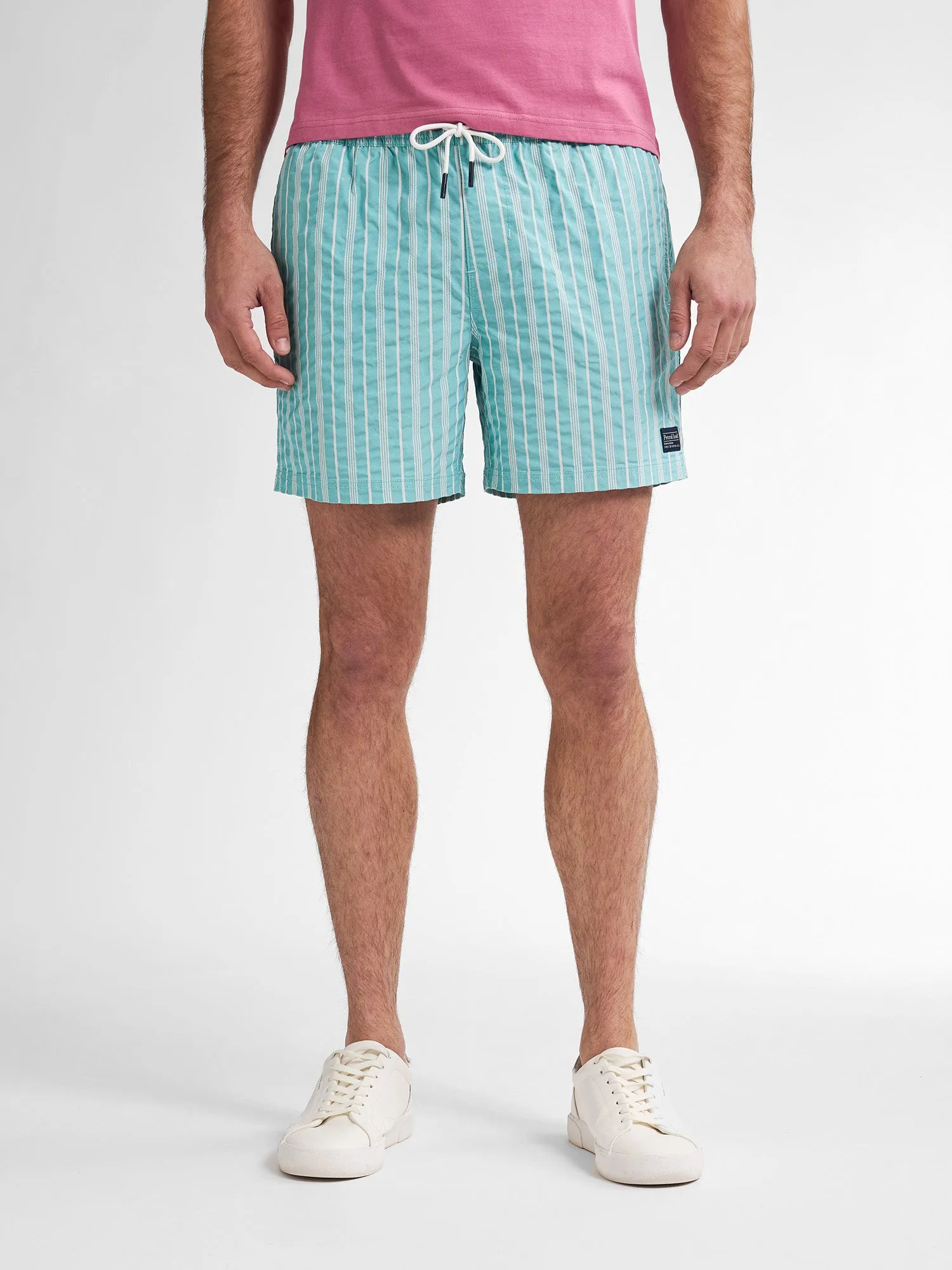 Striped Swimming Shorts Reefway