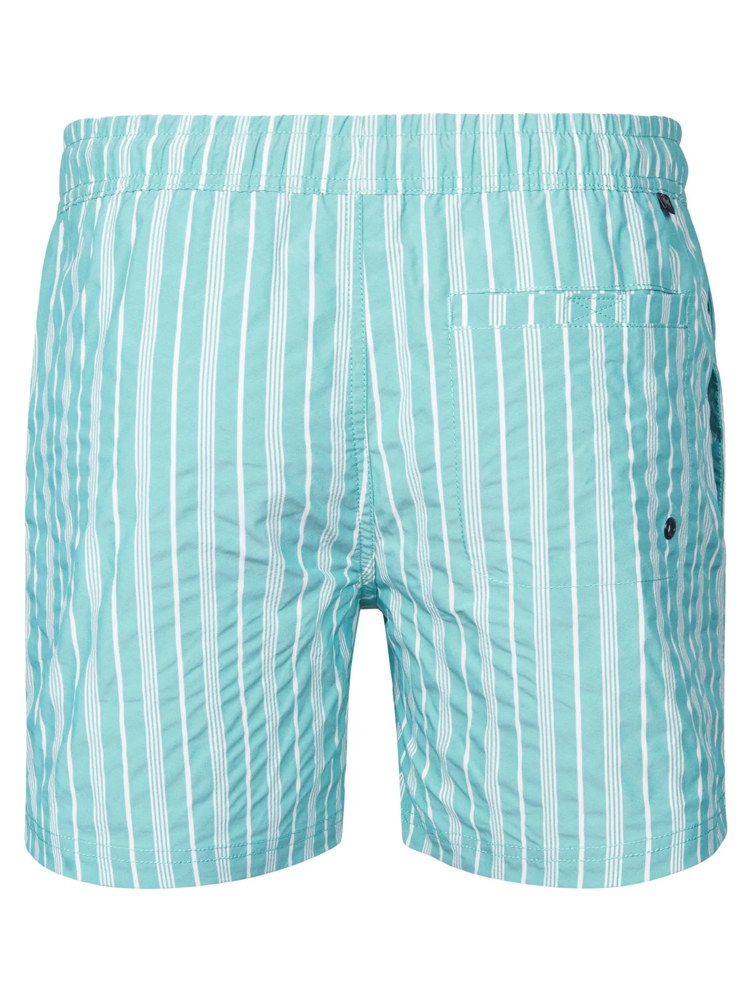 Striped Swimming Shorts Reefway