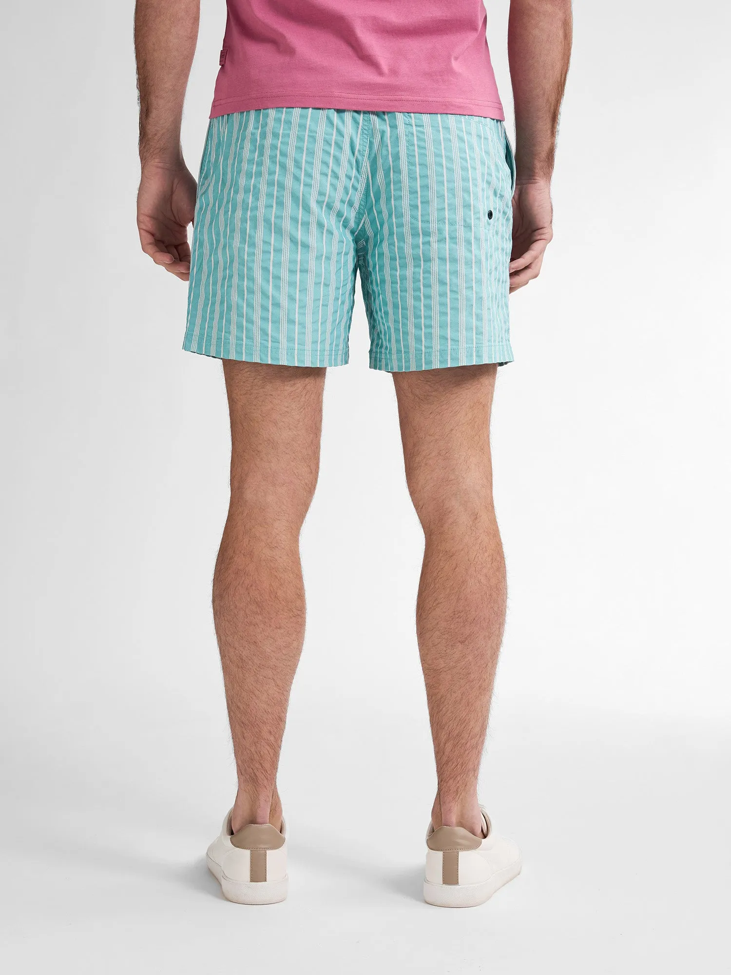 Striped Swimming Shorts Reefway